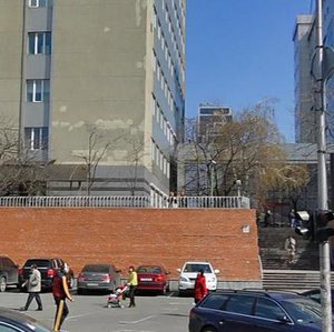Volodymyrska Street, 101к2, Kyiv: photo