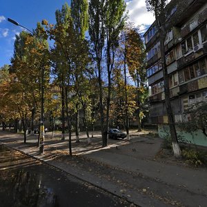 Petra Kurinnoho Street, 9, Kyiv: photo