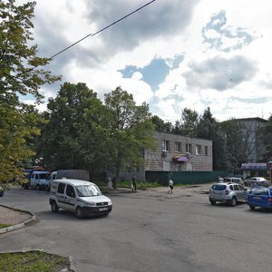 Prospekt 60 let Oktyabrya, 11, Shelkovo: photo