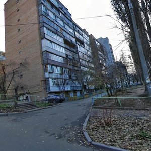 Pecherskyi Descent, 8, Kyiv: photo