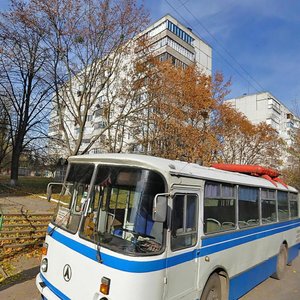 Dachna vulytsia, No:37, Belaya Tserkov: Fotoğraflar