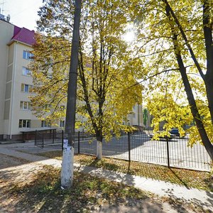 Vulytsia Frenkelia, 3, : foto