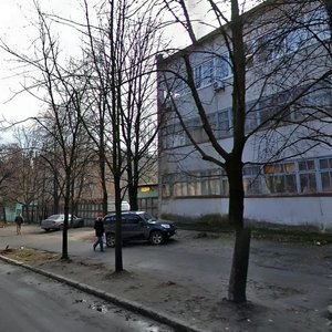 Oleksy Tykhoho Street, 91А, Kyiv: photo