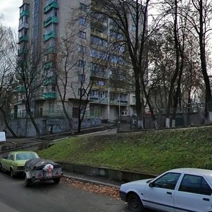 Oleksy Tykhoho Street, 49А, Kyiv: photo