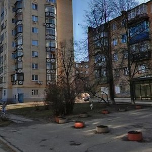 Volodymyra Salskoho Street, 9/27А, Kyiv: photo