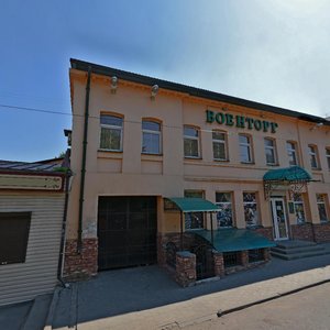 Воронеж, Улица Сакко и Ванцетти, 93: фото