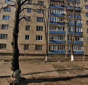 Bahhovutivska Street, 42/12, : foto