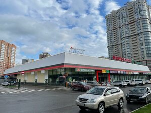 Leninsky Avenue, 101, Moscow: photo