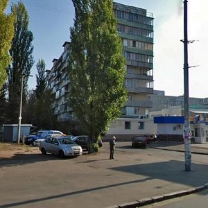 Marshala Malynovskoho Street, 3, Kyiv: photo