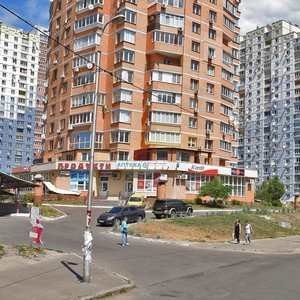 Kostiantyna Dankevycha Street, 14, Kyiv: photo