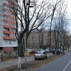 Martyrosiana Street, 23 ، كييف: صورة