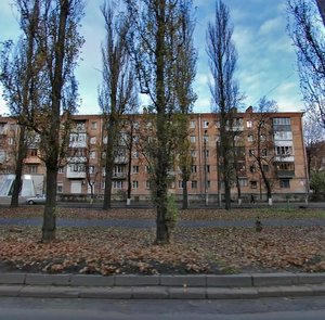 Vatslava Havela Boulevard, 83 ، كييف: صورة