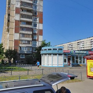 Udarnikov Avenue, 42А, Saint Petersburg: photo