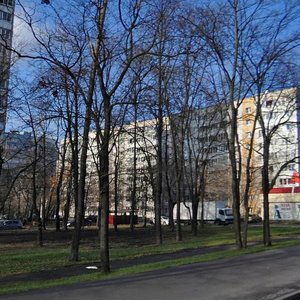 Lyotchika Babushkina Street, 15, : foto