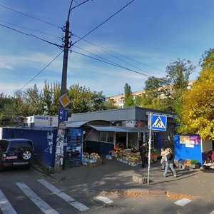 Kopylivska Street, 4, Kyiv: photo