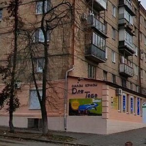 Henerala Henadіia Vorobiova Street, 10, Kyiv: photo