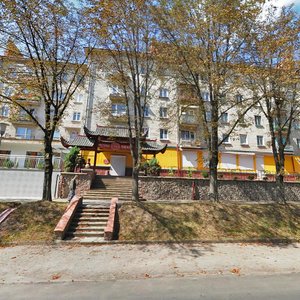 Vulytsia Druzhby, 9, Ternopil: photo