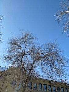 Mira Avenue, 22, Omsk: photo