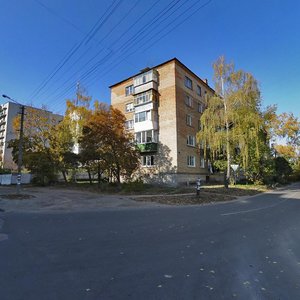 Vulytsia Bezhivka, 1, Boryspil: photo