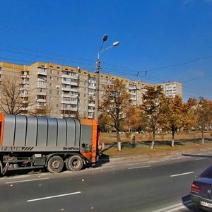 Volodymyra Maiakovskoho Avenue, 53, Kyiv: photo