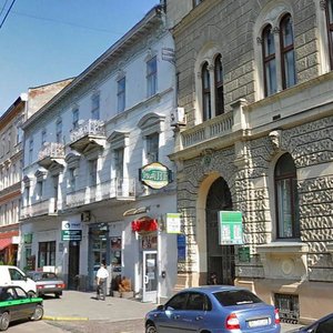 Vulytsia Sichovykh Striltsiv, No:7, Lviv: Fotoğraflar