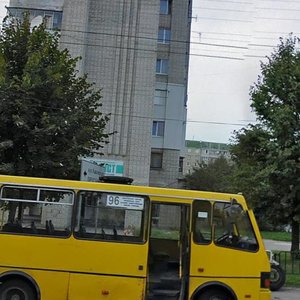 Sykhivska vulytsia, 8, Lviv: photo