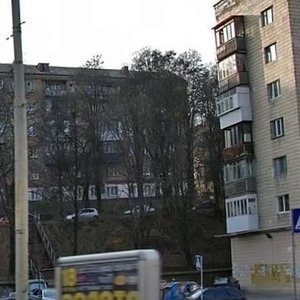 Lesi Ukrainky Boulevard, 10А, Kyiv: photo