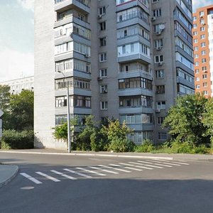 Volodymyra Antonovycha Street, 4, Dnipro: photo