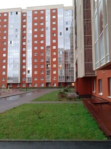 Oboronnaya Street, 37к2, Murino: photo