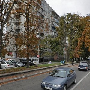 Kashtanova vulytsia, 7А, Obukhiv: photo