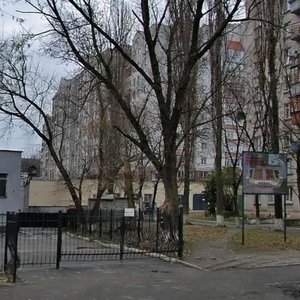 Marshala Rybalka Street, 1А, Kyiv: photo