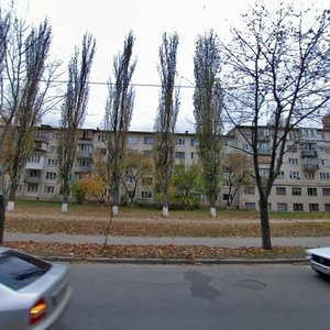 Akademika Korolova Street, 11/1 ، كييف: صورة