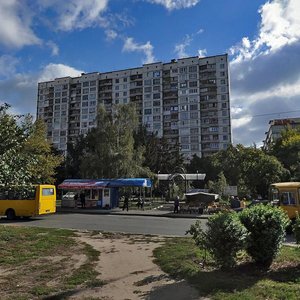 Marshala Rokosovskoho Avenue, 2, Kyiv: photo