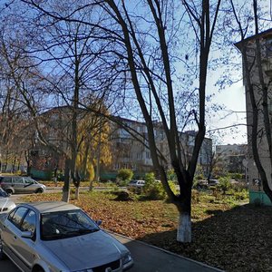 Dubrovitsy Village, 4, Moscow and Moscow Oblast: photo