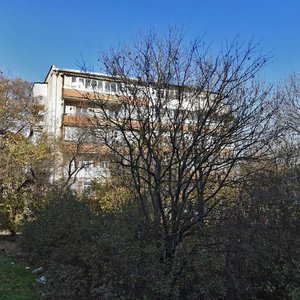 Минеральные Воды, Проспект 22-го Партсъезда, 100: фото