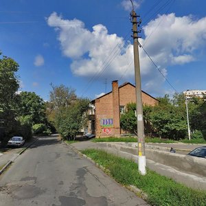 Malokytaivska Street, 29, Kyiv: photo