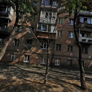 Dobryi Shliakh Street, No:5, Kiev: Fotoğraflar