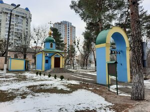 Popudrenka Street, 36/1, Kyiv: photo