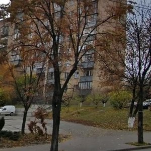 Valeriia Lobanovskoho Avenue, 96, Kyiv: photo