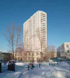 Новосибирск, Улица Бориса Богаткова, 260/1: фото