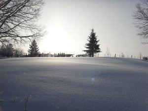 Ульяновская область никольское на черемшане фото