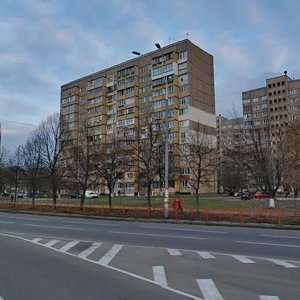 Heorhiia Honhadze Avenue, 18, Kyiv: photo