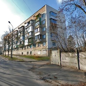 Maksyma Berlinskoho Street, 31, Kyiv: photo