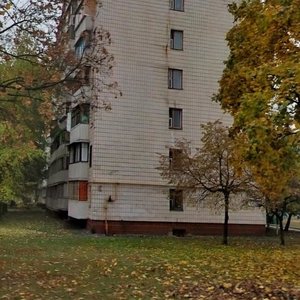 Kharkivske Highway, 51Б, Kyiv: photo