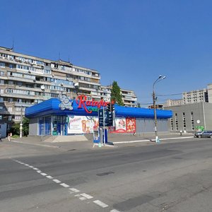 Naberezhna Peremohy Street, 56А, Dnipro: photo