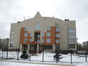 Domostroiteley street, 26, Voronezh: photo