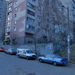 Petra Radchenka Street, 12, Kyiv: photo