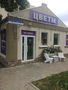 Ulitsa Ivana Golubtsa, 86, Anapa: photo