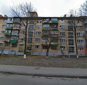 Kopernyka Street, 29, Kyiv: photo