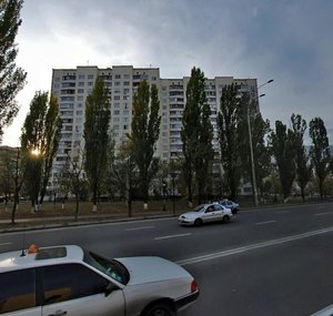 Heroiv Stalinhrada Avenue, 25, Kyiv: photo